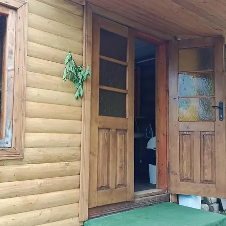 василя івановича під угорським плаєм ロッジ Zelene