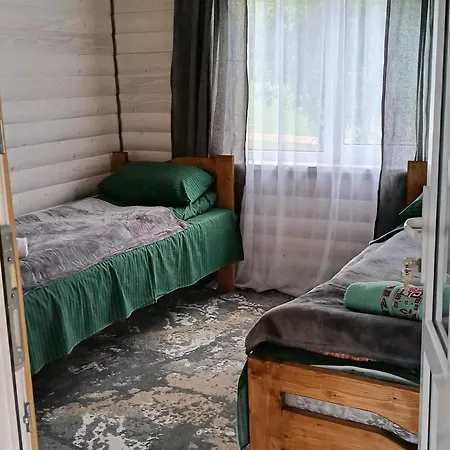 василя івановича під угорським плаєм ロッジ Zelene