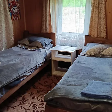 ロッジ василя івановича під угорським плаєм Zelene