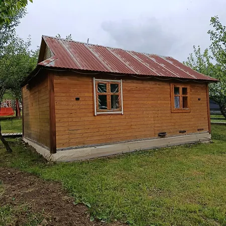 василя івановича під угорським плаєм * Zelene