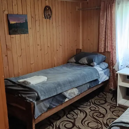 василя івановича під угорським плаєм *