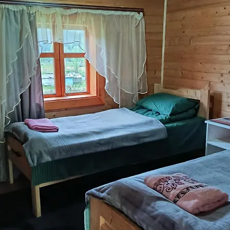 василя івановича під угорським плаєм ロッジ Zelene