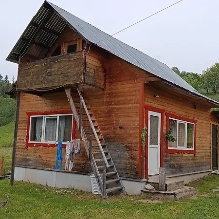 василя івановича під угорським плаєм ロッジ Zelene