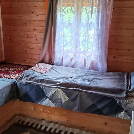 василя івановича під угорським плаєм * Zelene