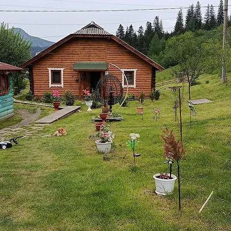 ロッジ василя івановича під угорським плаєм *