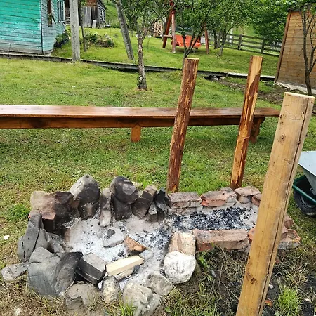 василя івановича під угорським плаєм * Zelene