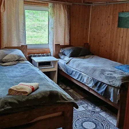 василя івановича під угорським плаєм ロッジ Zelene