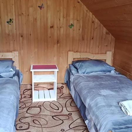 василя івановича під угорським плаєм Zelene