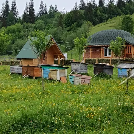 василя івановича під угорським плаєм *